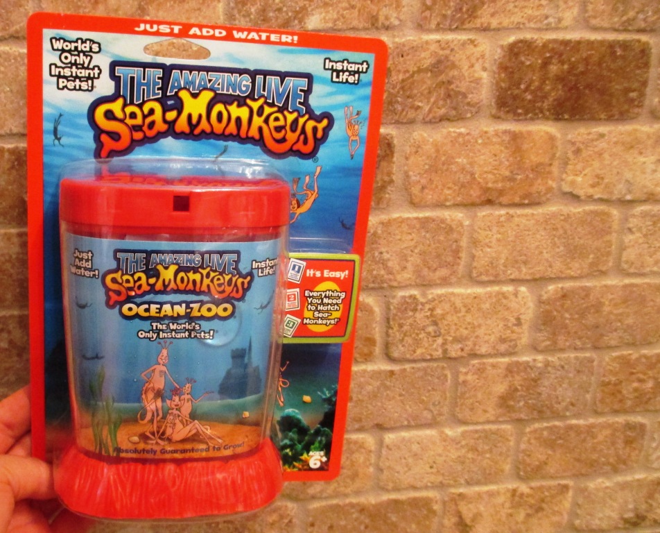 the amazing live sea monkeys toy