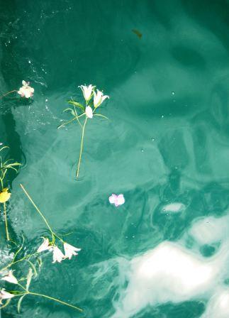 Grandma’s Flowers – Solo Travel Girl's Adventures