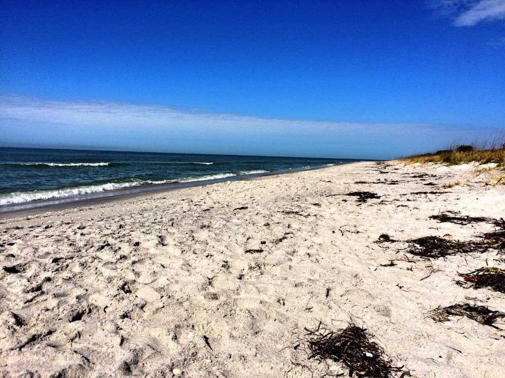 Cruising to Don Pedro Island State Park with Captiva Cruises - Solo ...