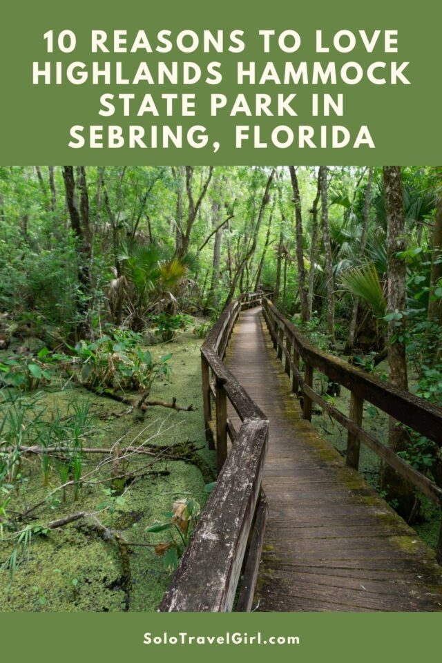 10 Reasons to Love Highlands Hammock State Park in Sebring, Florida